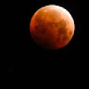 Meet your Posher, Ken